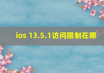 ios 13.5.1访问限制在哪